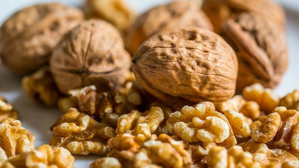 Nuez 1|nut-1078938_960_720